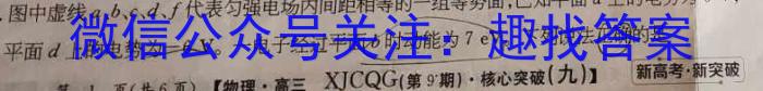 陕西省2024年初中学业水平考试模拟试题(二)物理试题答案