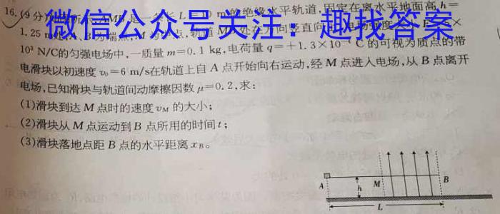 百师联盟2023-2024高一下学期阶段测试卷(一)物理试卷答案