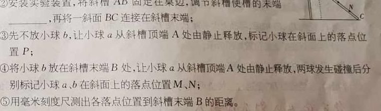 2023-2024学年河北省高一年级期末考试(24-617A)(物理)试卷答案