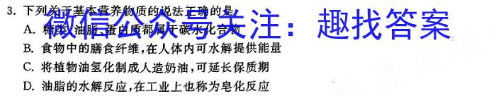 智ZH 河南省2024年中招模拟试卷(三)3化学