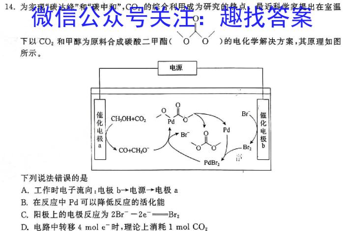 q河南省2023-2024学年度八年级综合第七次月考（七）化学