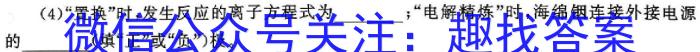 3［南昌一模］南昌市2024届高三年级第一次模拟考试化学试题