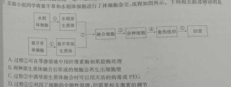 ［广东大联考］广东省2024届高三年级5月联考生物学部分