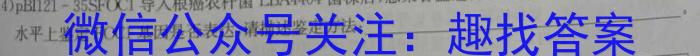 新野县2024年春期期终质量评估七年级试卷生物学试题答案