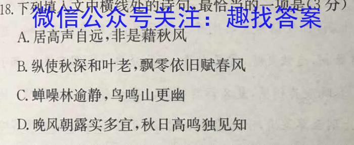 安徽省合肥38中2023/2024学年度第二学期七年级期中考试语文