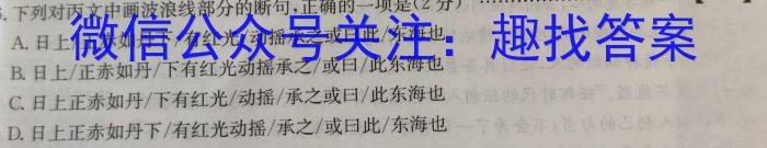 ʡ2024пģʾxԾ