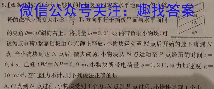 天一大联考 2024-2025学年湖南省高二联考(10月)物理试卷答案