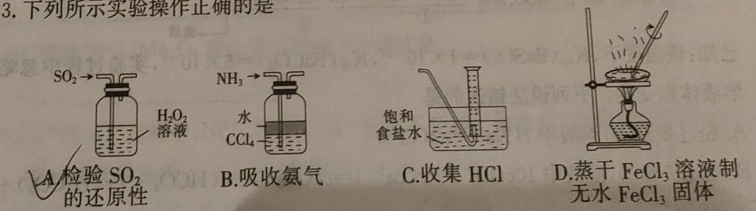 12024-2025学年内蒙古高二考试10月联考(无角标)化学试卷答案