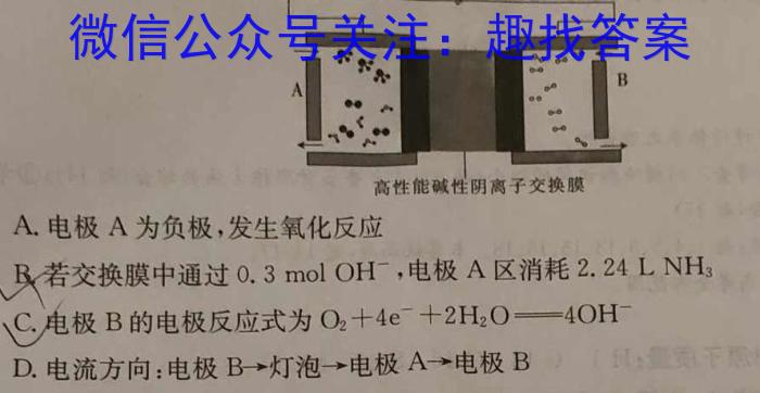 安徽省2024-2025学年八年级12月月考（无标题）化学