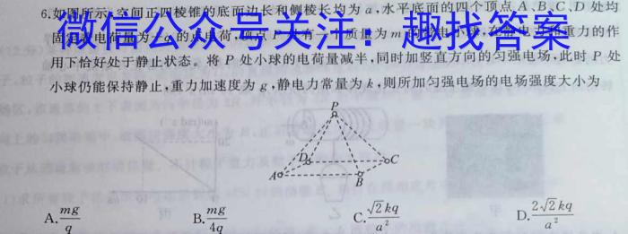 石家庄市2025届普通高中学校毕业年级教学质量摸底检测（11月）物理试卷答案