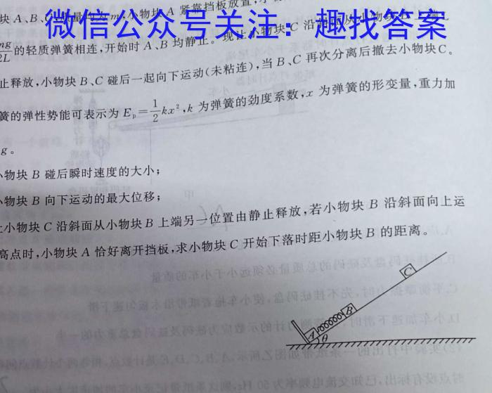 成都石室中学2023~2024学年度下期高2025届零诊模拟考试物理试题答案