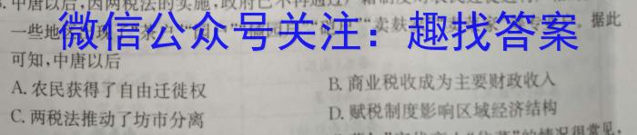 2024届陕西省第九次模拟考试历史试卷