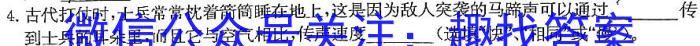 2024年河北省初中毕业生升学文化课考试模拟试卷（十一）物理试卷答案