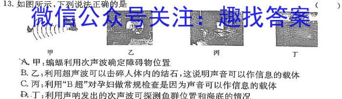 湖北省2024年春"荆、荆、襄、宜四地七校考试联盟"高二期中联考q物理