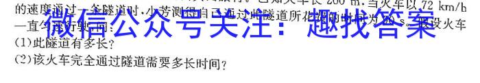 湖南省2024届高三九校联盟第二次联考(3月)物理`