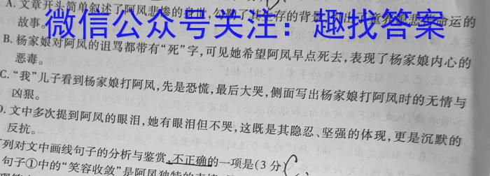 2024年普通高等学校招生全国统一考试·金卷 BBY-F(六)/语文