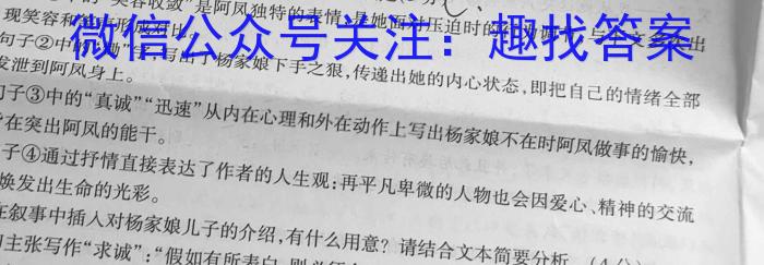 陕西省2023-2024学年第二学期高一质量检测（▲）语文