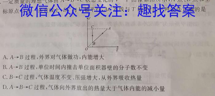 河南省2024届九年级阶段评估(二) 3L R物理`