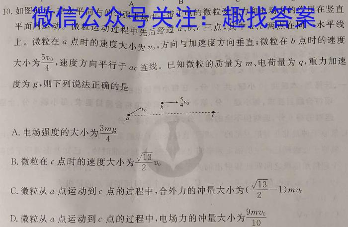 2024学年高二年级上学期浙南名校联盟返校联考物理试卷答案