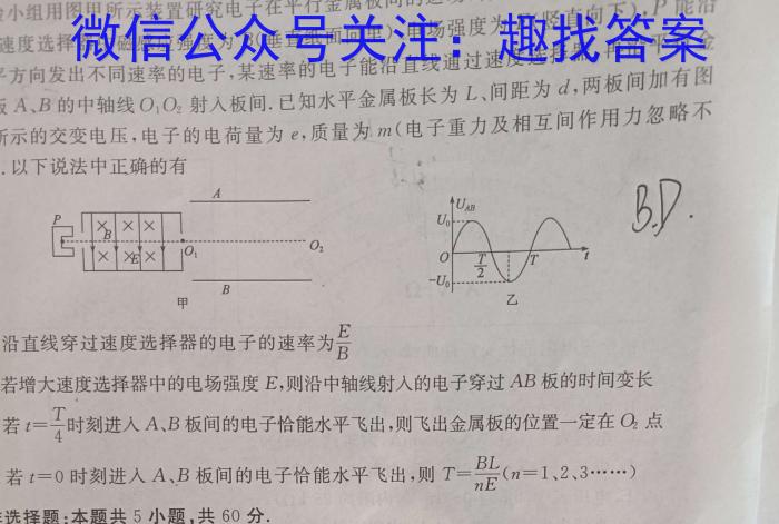 2024届湖北省高考适应性训练(一)物理`