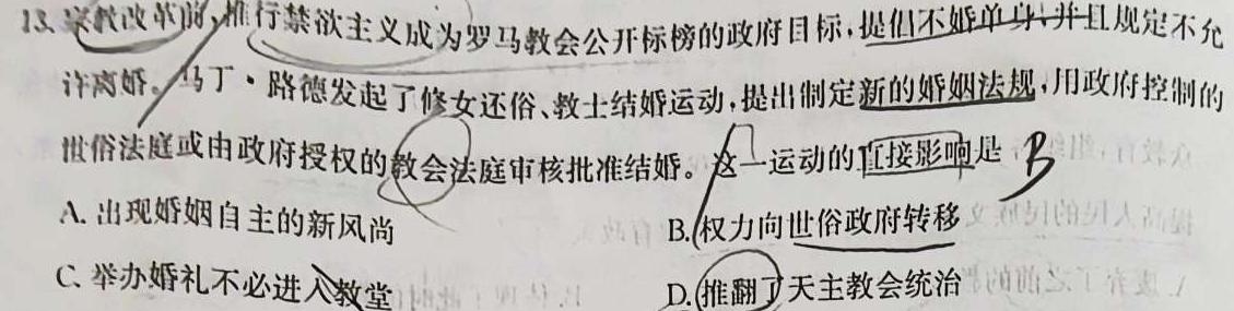 山西省2024届九年级期末综合评估（4LR）历史