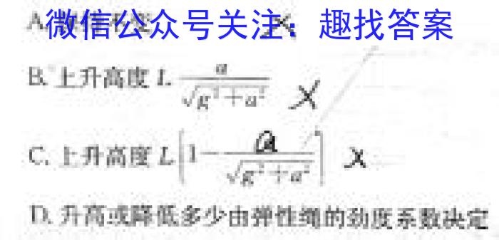 2025届普通高等学校招生全国统一考试青桐鸣10月大联考（高三）物理试题答案