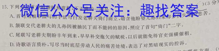 安徽省2023-2024学年八年级下学期期末教学质量调研(6月)语文