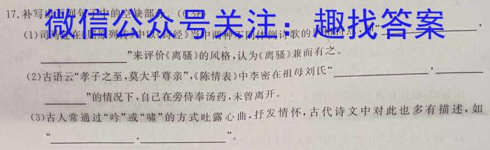 文博志鸿2024年河南省普通高中招生考试模拟试卷（解密一）/语文