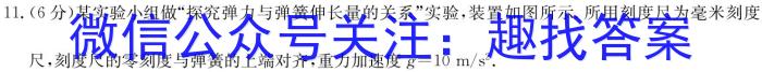 2024届炎德英才大联考 雅礼中学模拟试卷(一)1物理`