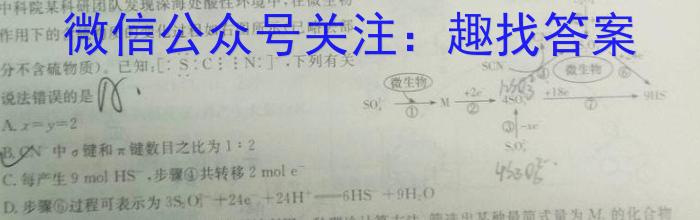 q安徽省2023-2024学年同步达标自主练习·八年级第三次化学