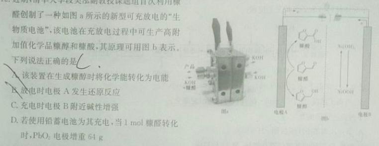 1四川省成都市蓉城高中联盟2026届高一上学期期末考试化学试卷答案