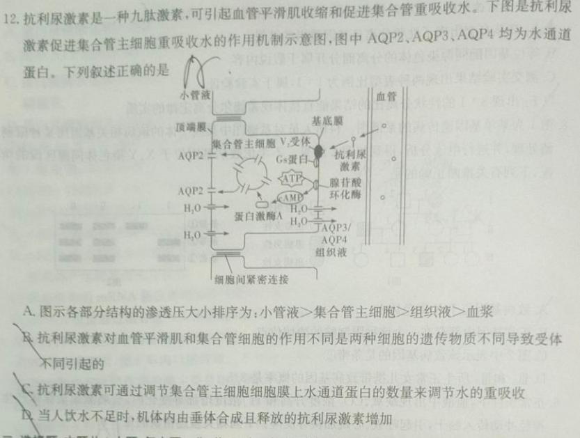 安徽省2024年中考模拟示范卷（四）生物学部分