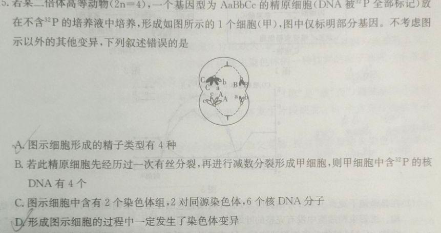 湖北省武汉市部分重点中学2023-2024学年度下学期期中联考高一生物