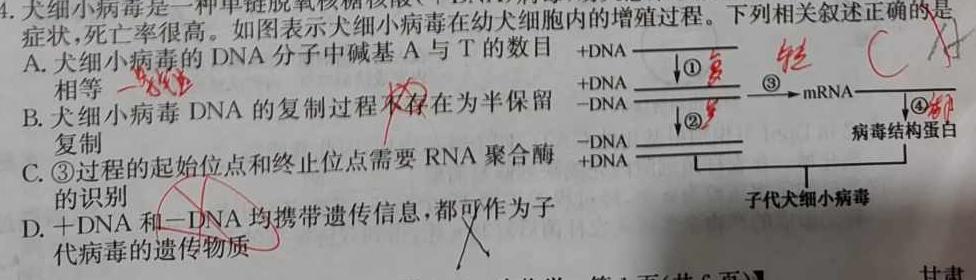 重庆乌江新高考协作体2025届高考质量调研（一）生物学部分