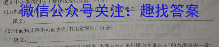 安徽省2024届九年级上学期期末考试（第四次）/语文