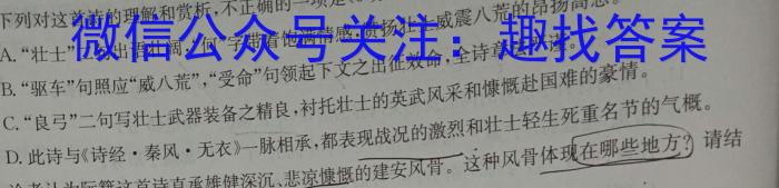 2024届河南省信阳高级中学高三高考模拟卷(九)语文