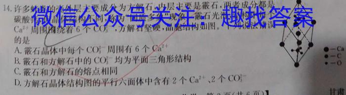 q安徽省2023-2024学年度上学期九年级第二次过程性评价化学