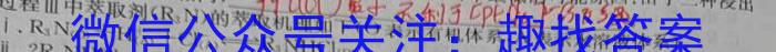 j山西省2024届九年级期末综合评估（4LR）化学试卷答案