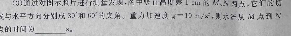 甘肃省武威市凉州区2024-2025学年高三第一次质量检测考试(物理)试卷答案