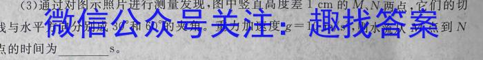 2023-2024ѧʡ߶12(24-230B)xԾ