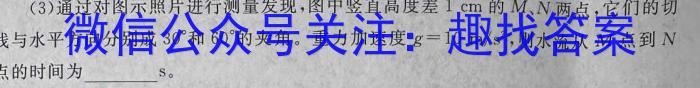 新向标教育 2024年河南省中考仿真模拟考试(一)1物理试卷答案