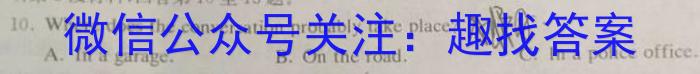 河南省2024年中考导航冲刺押题卷(十)英语试卷答案