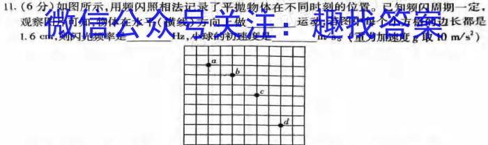 [南充三诊]四川省南充市高2024届高考适应性考试(三诊)物理`