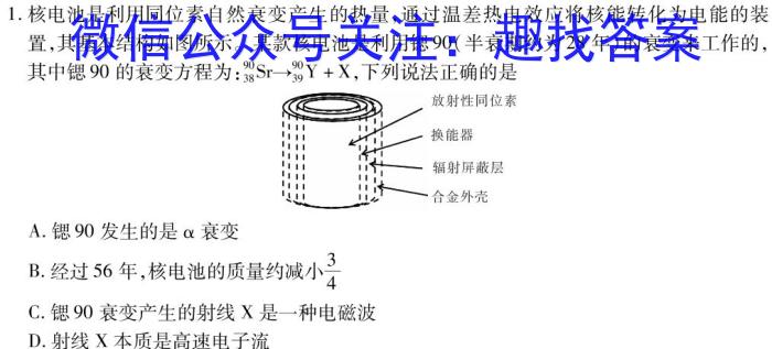 学科网2024届高三5月大联考(新课标卷)物理试卷答案