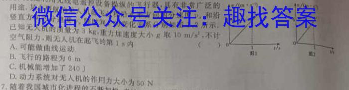 江西省2023-2024学年度九年级阶段性练习（四）f物理