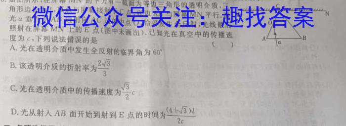 2024年普通高等学校全国统一模拟招生考试金科·新未来12月联考f物理