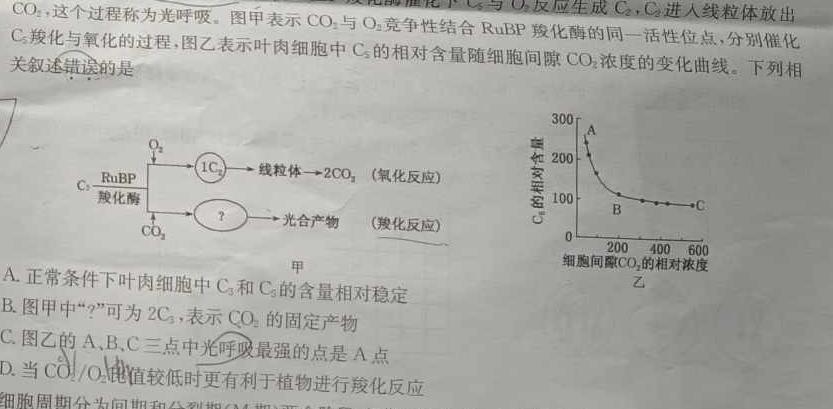 2025届昔阳中学高三年级第一次模拟考试检测卷生物学部分