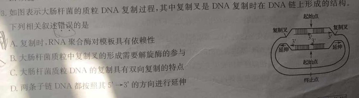 炎德英才大联考 雅礼中学2024届高三月考试卷(七)7生物学部分