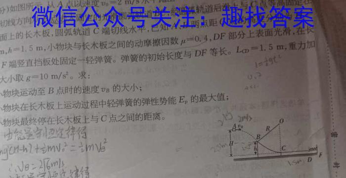 辽宁省沈阳市郊联体2024年9月高三联考物理试题答案