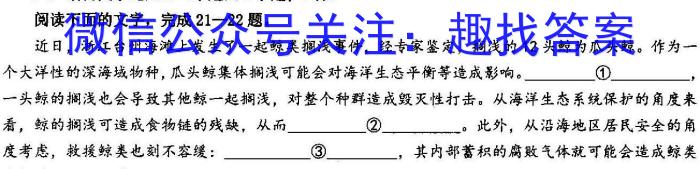 山西省2024年中考总复习专题训练 SHX(十二)12语文